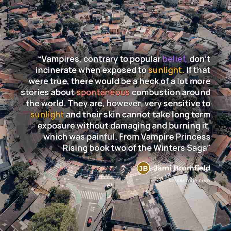 “Vampires, contrary to popular belief, don't incinerate when exposed to sunlight. If that were true, there would be a heck of a lot more stories about spontaneous combustion around the world. They are, however, very sensitive to sunlight and their skin cannot take long term exposure without…” quote by Jami Brumfield