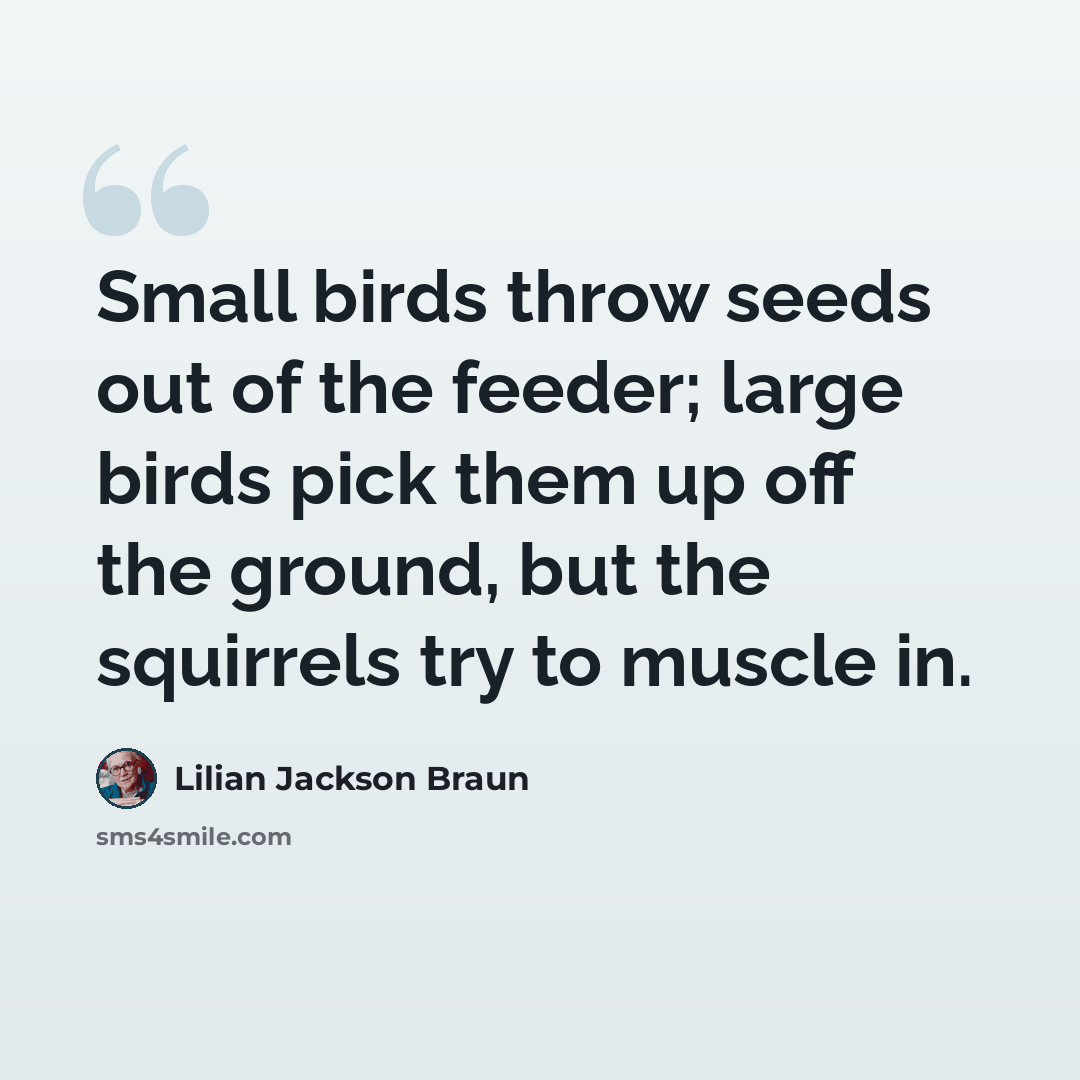 “Small birds throw seeds out of the feeder; large birds pick them up off the ground, but the squirrels try to muscle in.” quote by Lilian Jackson Braun