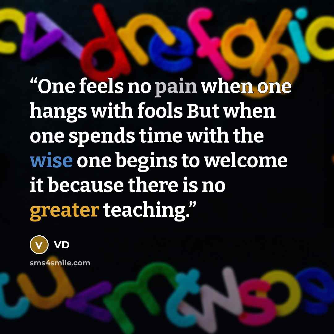 “One feels no pain when one hangs with fools But when one spends time with the wise one begins to welcome it because there is no greater teaching.” quote by VD