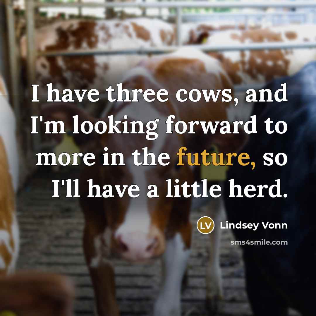 “I have three cows, and I'm looking forward to more in the future, so I'll have a little herd.” quote by Lindsey Vonn
