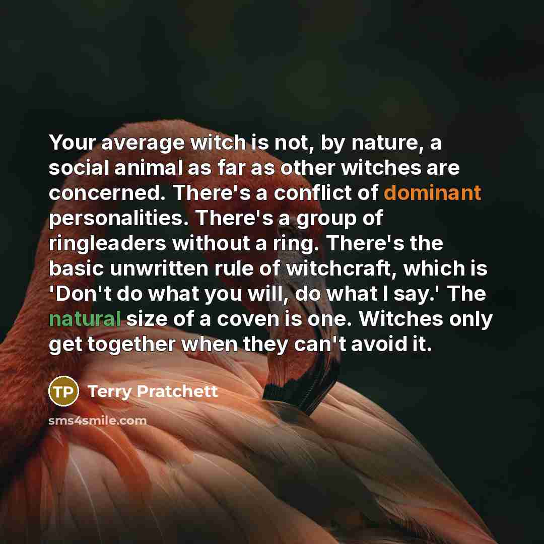 “Your average witch is not, by nature, a social animal as far as other witches are concerned. There's a conflict of dominant personalities. There's a group of ringleaders without a ring. There's the basic unwritten rule of witchcraft, which is 'Don't do what you will, do what I say.' The natural…” quote by Terry Pratchett