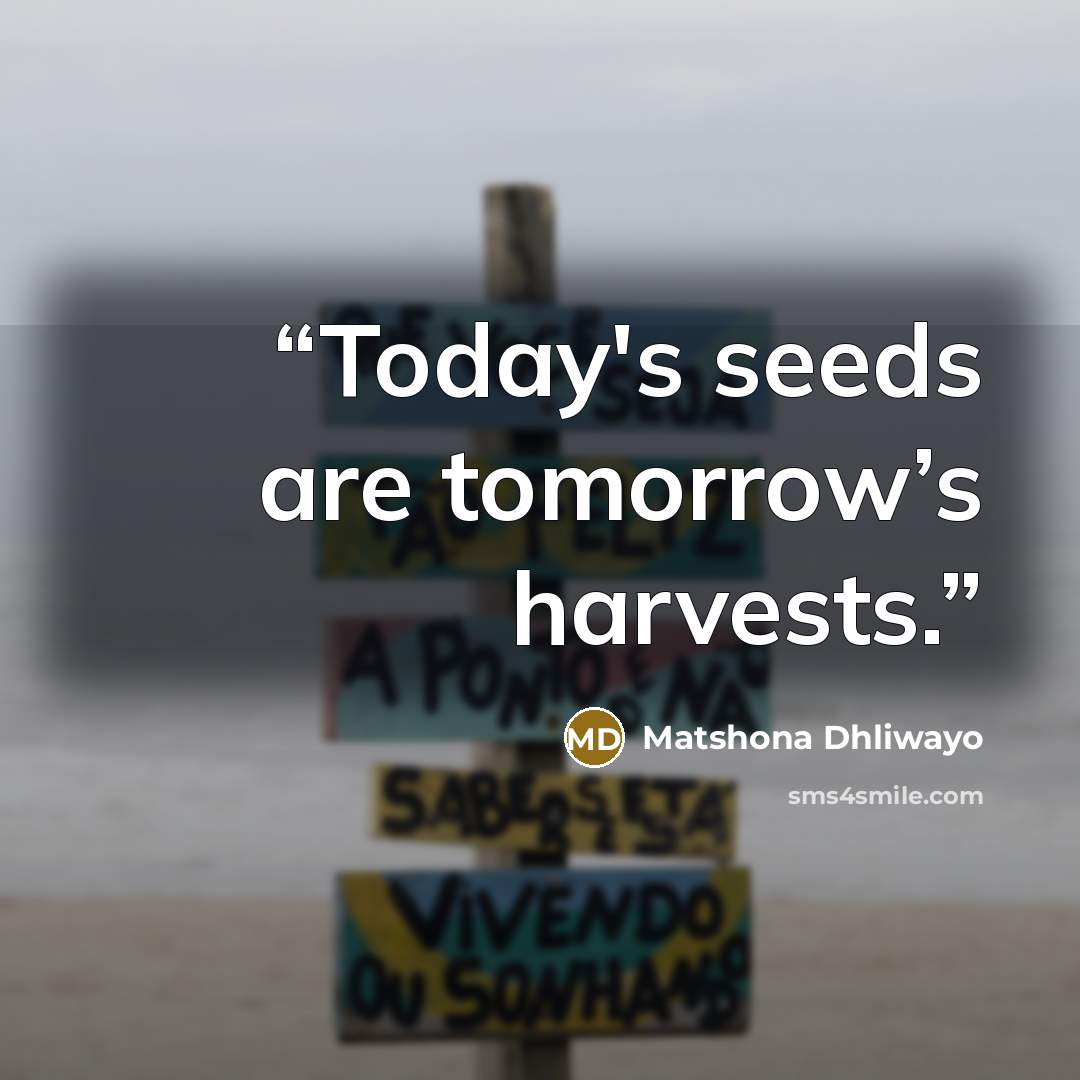 “Today's seeds are tomorrow’s harvests.” quote by Matshona Dhliwayo