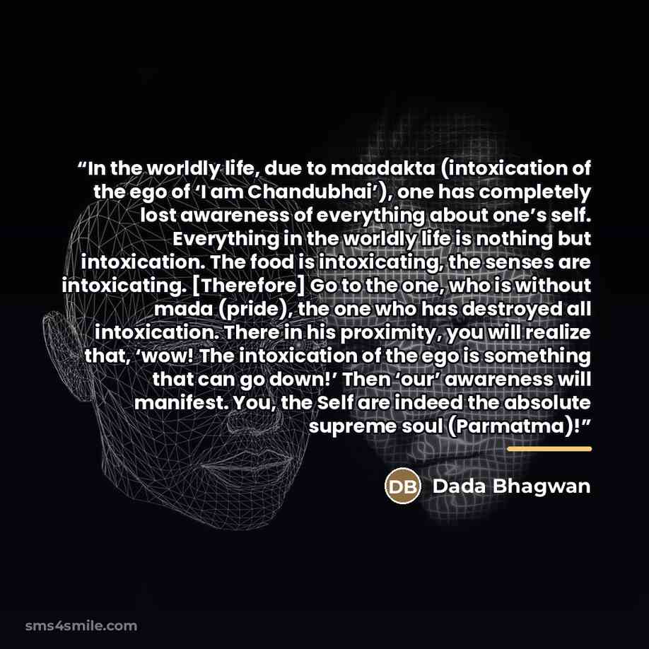 “In the worldly life, due to maadakta (intoxication of the ego of ‘I am Chandubhai’), one has completely lost awareness of everything about one’s self. Everything in the worldly life is nothing but intoxication. The food is intoxicating, the senses are intoxicating. [Therefore] Go to the one, who…” quote by Dada Bhagwan