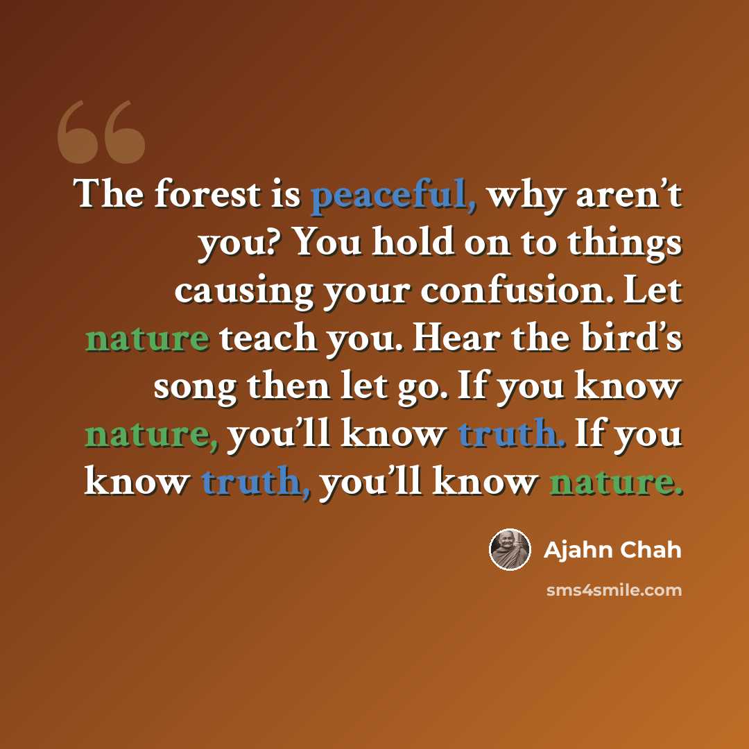 “The forest is peaceful, why aren’t you? You hold on to things causing your confusion. Let nature teach you. Hear the bird’s song then let go. If you know nature, you’ll know truth. If you know truth, you’ll know nature.” quote by Ajahn Chah