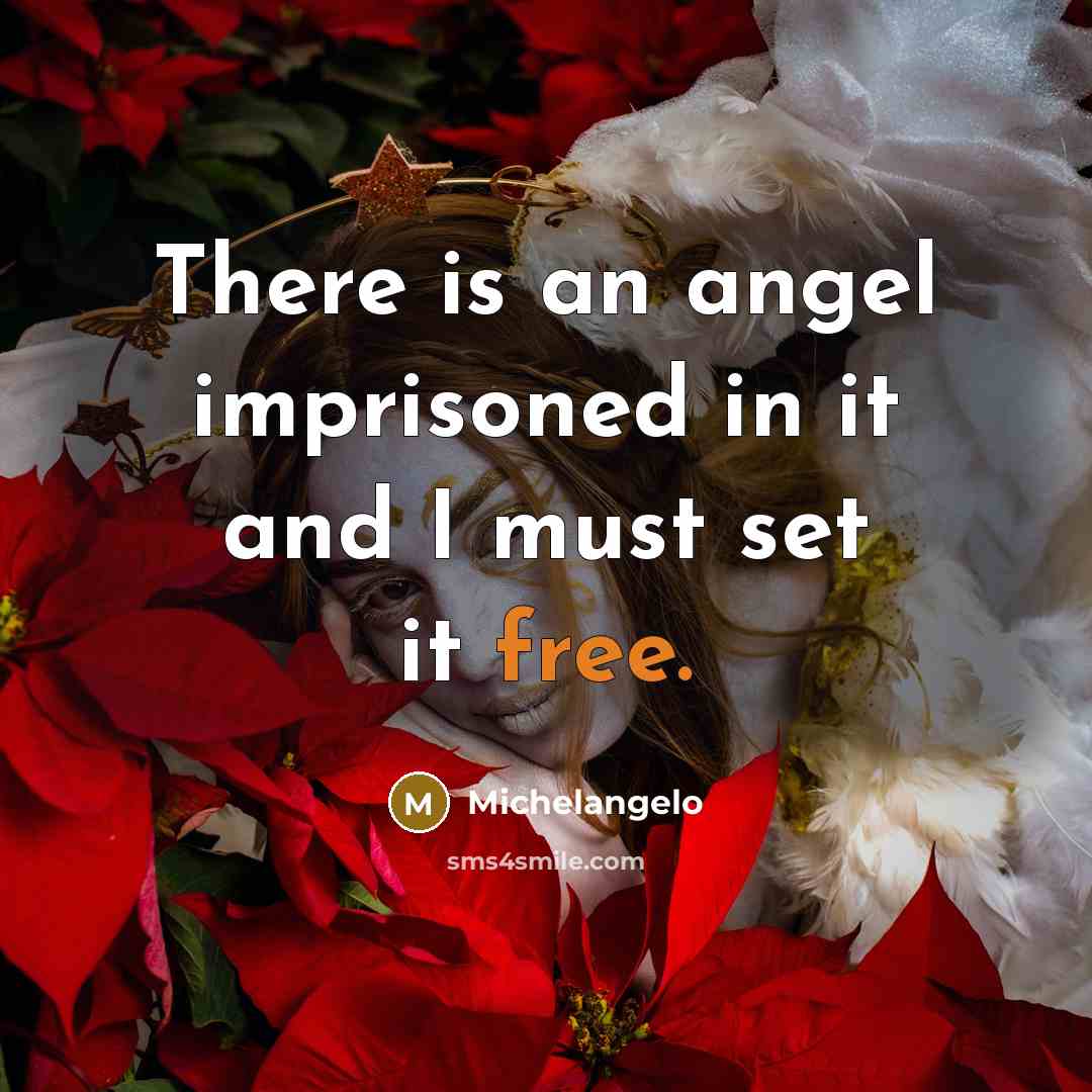 “There is an angel imprisoned in it and I must set it free.” quote by Michelangelo
