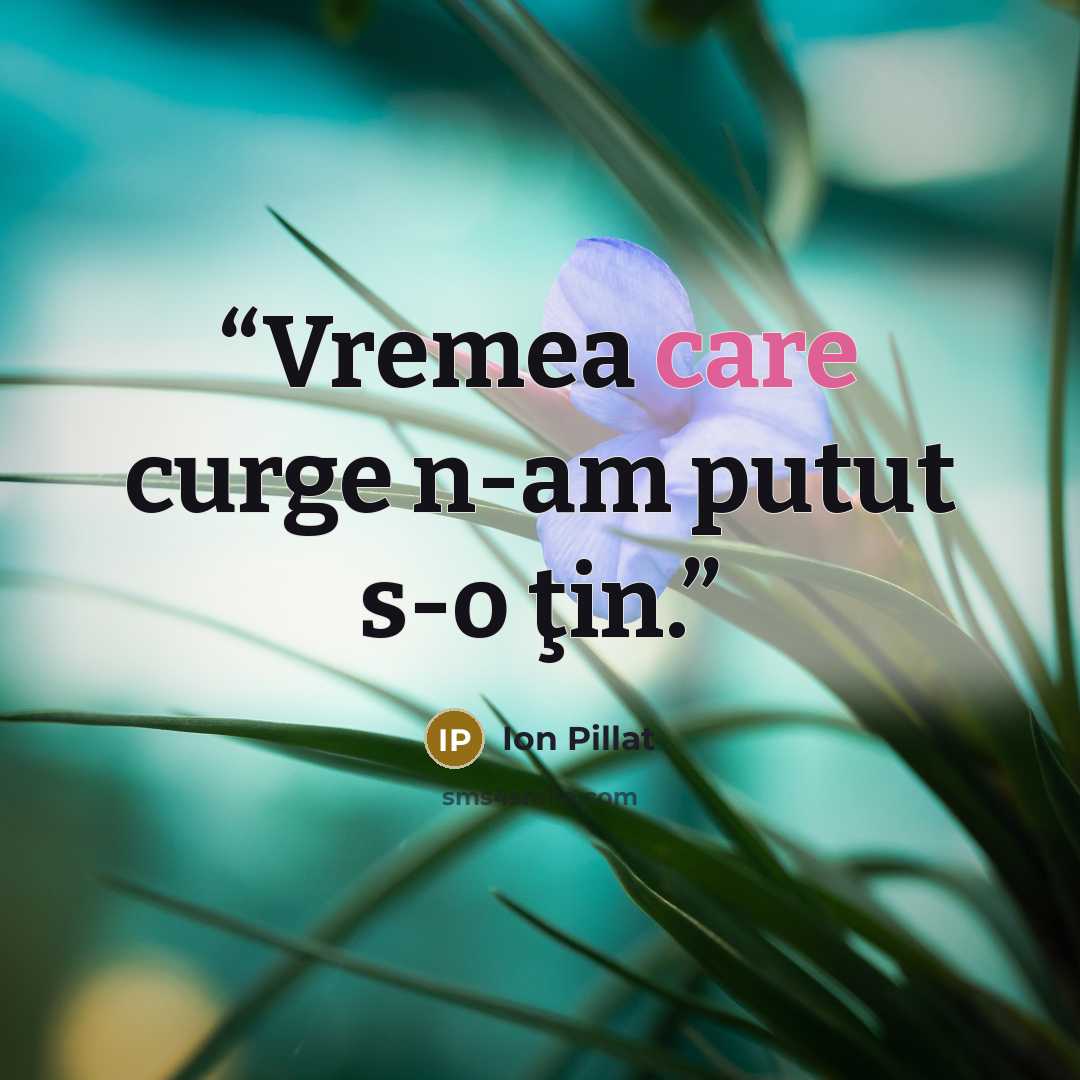 “Vremea care curge n-am putut s-o ţin.” quote by Ion Pillat