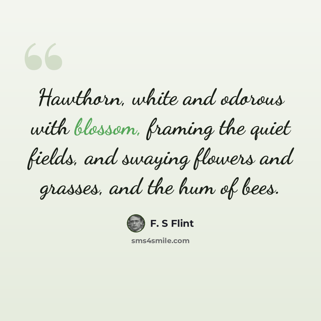 “Hawthorn, white and odorous with blossom, framing the quiet fields, and swaying flowers and grasses, and the hum of bees.” quote by F. S Flint
