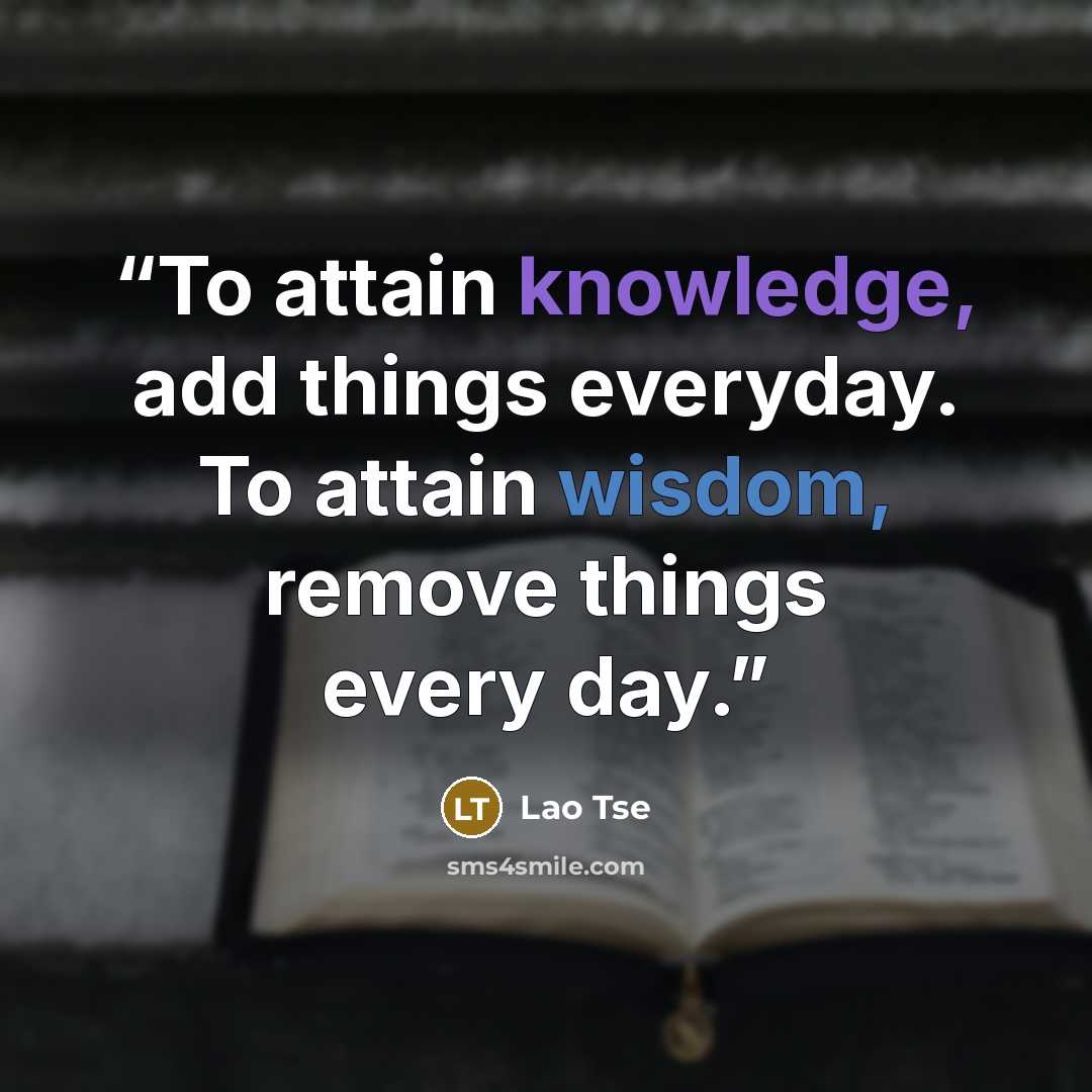 “To attain knowledge, add things everyday. To attain wisdom, remove things every day.” quote by Lao Tse