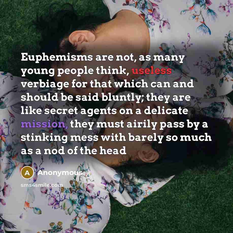 “Euphemisms are not, as many young people think, useless verbiage for that which can and should be said bluntly; they are like secret agents on a delicate mission, they must airily pass by a stinking mess with barely so much as a nod of the head” quote by Anonymous