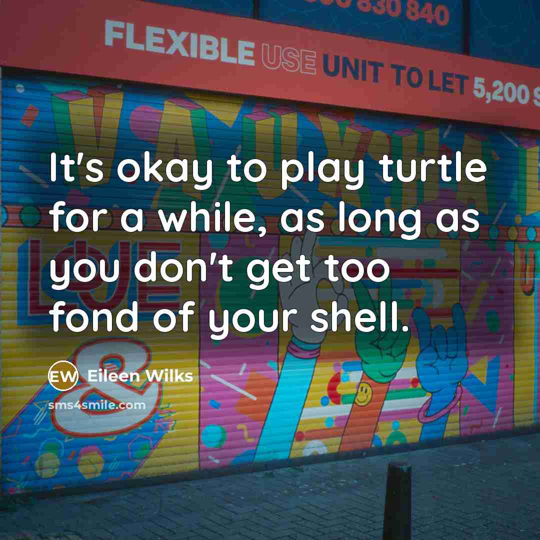 “It's okay to play turtle for a while, as long as you don't get too fond of your shell.” quote by Eileen Wilks