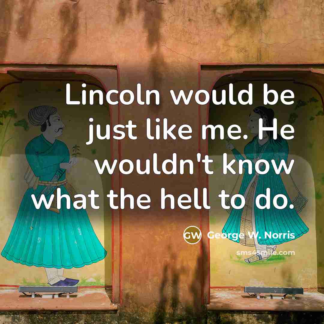 “Lincoln would be just like me. He wouldn't know what the hell to do.” quote by George W. Norris