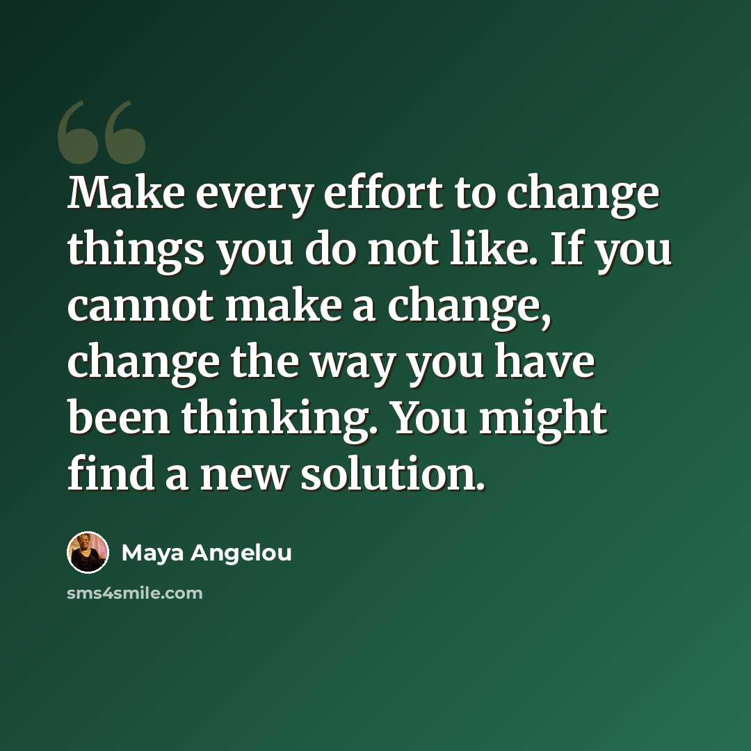 “Make every effort to change things you do not like. If you cannot make a change, change the way you have been thinking. You might find a new solution.” quote by Maya Angelou
