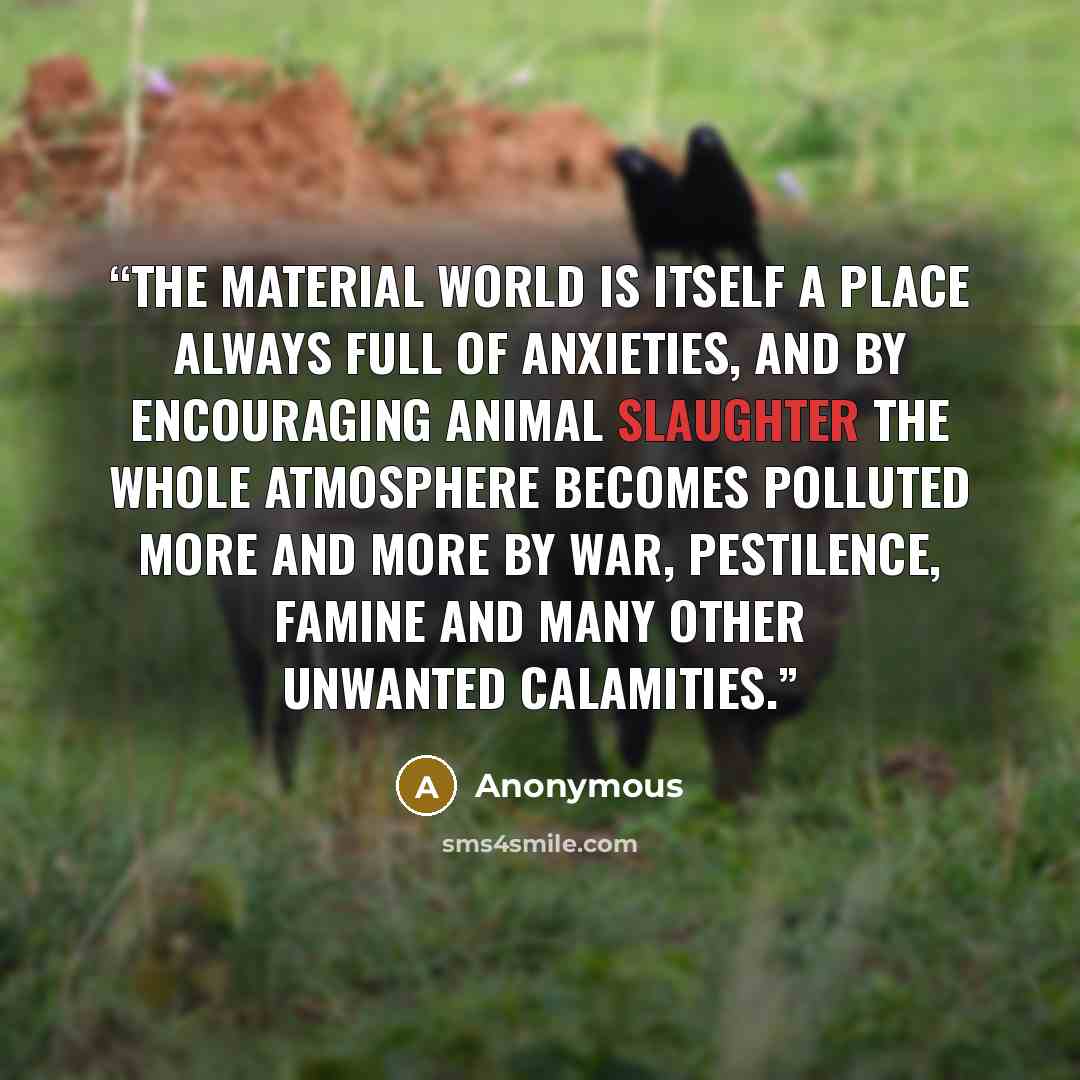 “The material world is itself a place always full of anxieties, and by encouraging animal slaughter the whole atmosphere becomes polluted more and more by war, pestilence, famine and many other unwanted calamities.” quote by Anonymous