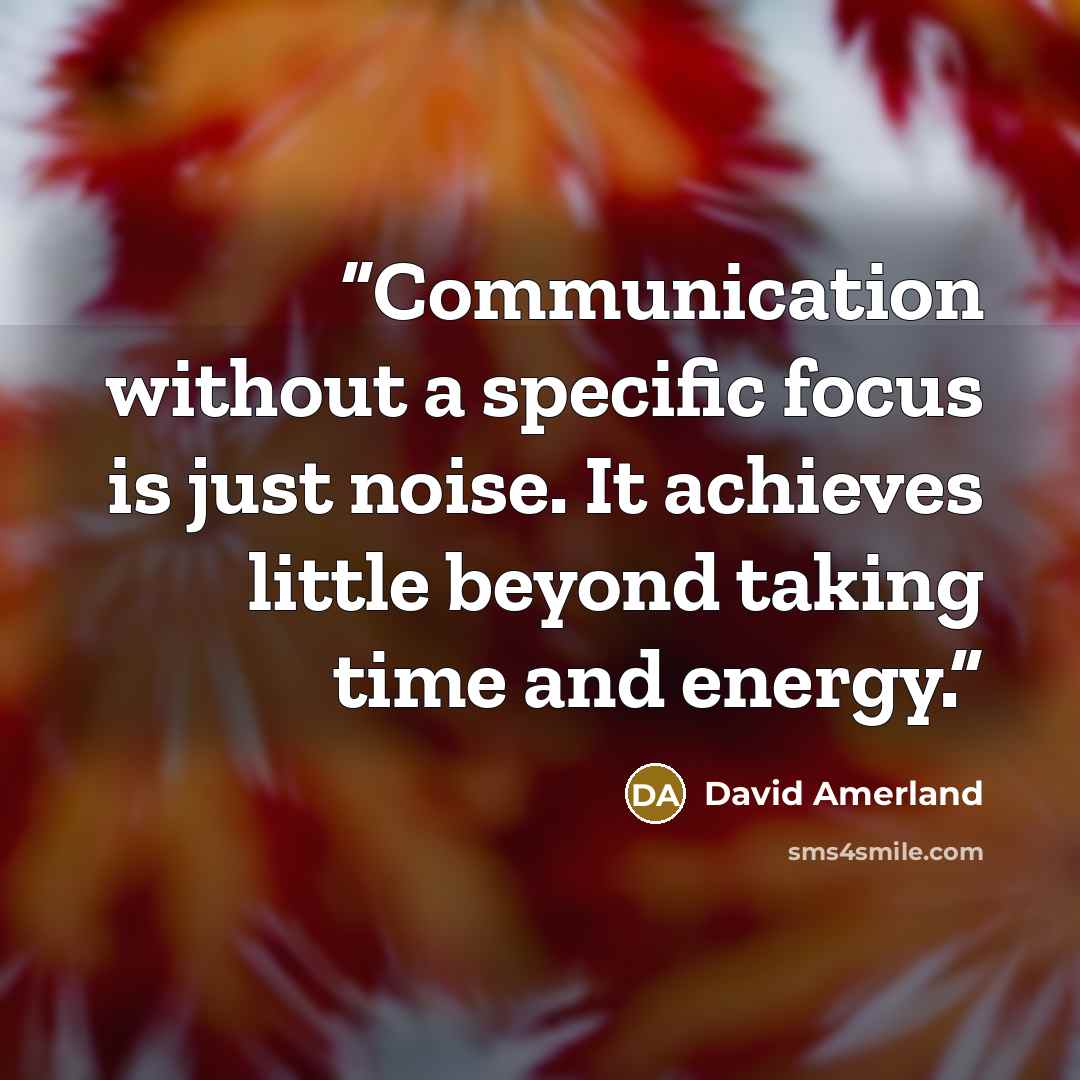 “Communication without a specific focus is just noise. It achieves little beyond taking time and energy.” quote by David Amerland