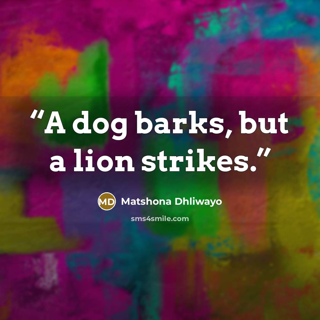 “A dog barks, but a lion strikes.” quote by Matshona Dhliwayo
