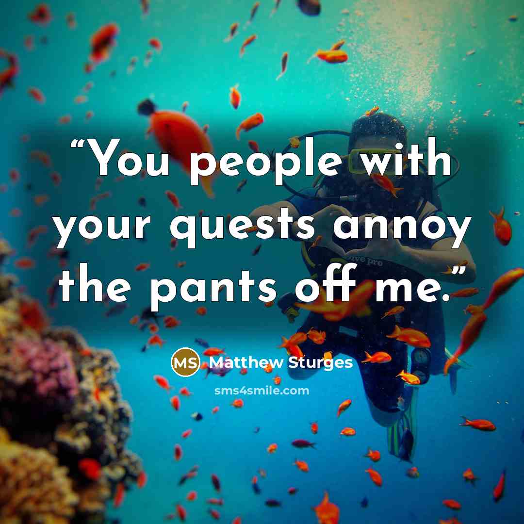 “You people with your quests annoy the pants off me.” quote by Matthew Sturges