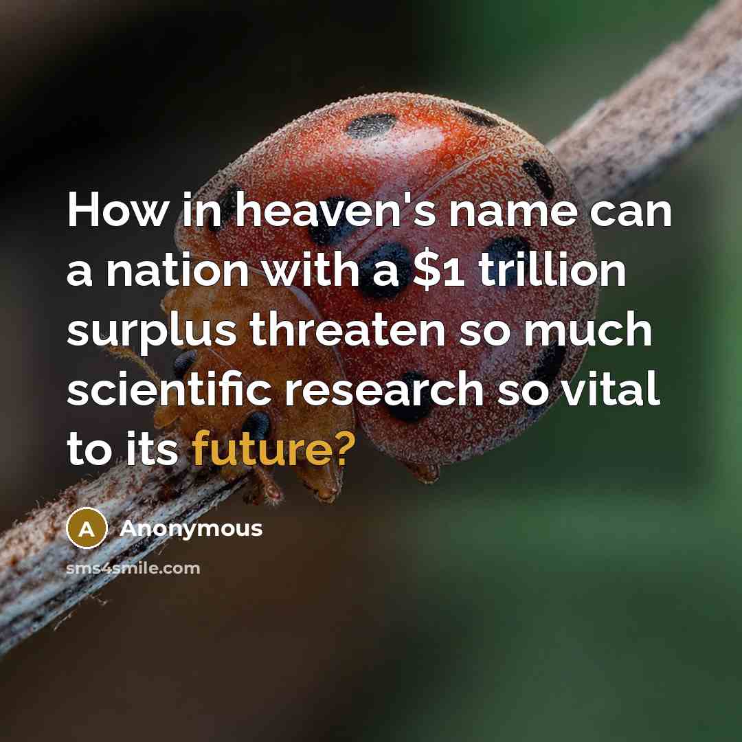 “How in heaven's name can a nation with a $1 trillion surplus threaten so much scientific research so vital to its future?” quote by Anonymous