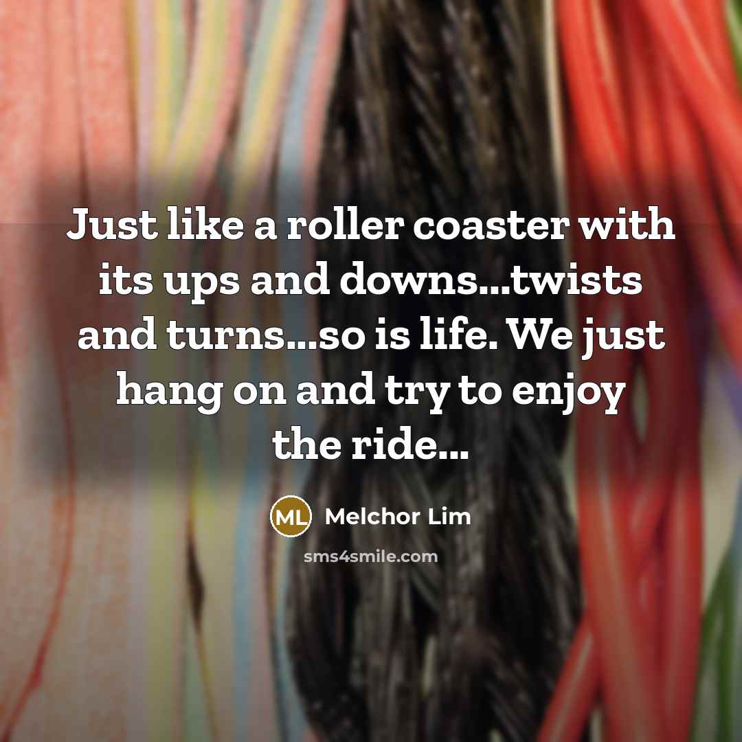 “Just like a roller coaster with its ups and downs...twists and turns...so is life. We just hang on and try to enjoy the ride...” quote by Melchor Lim