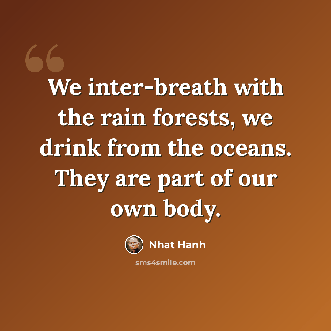 “We inter-breath with the rain forests, we drink from the oceans. They are part of our own body.” quote by Nhat Hanh