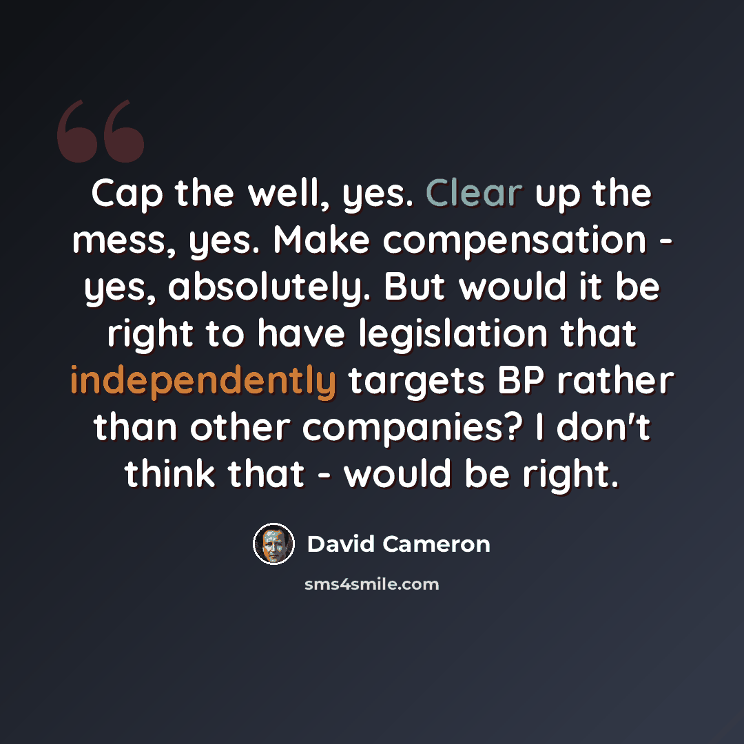 “Cap the well, yes. Clear up the mess, yes. Make compensation - yes, absolutely. But would it be right to have legislation that independently targets BP rather than other companies? I don't think that - would be right.” quote by David Cameron