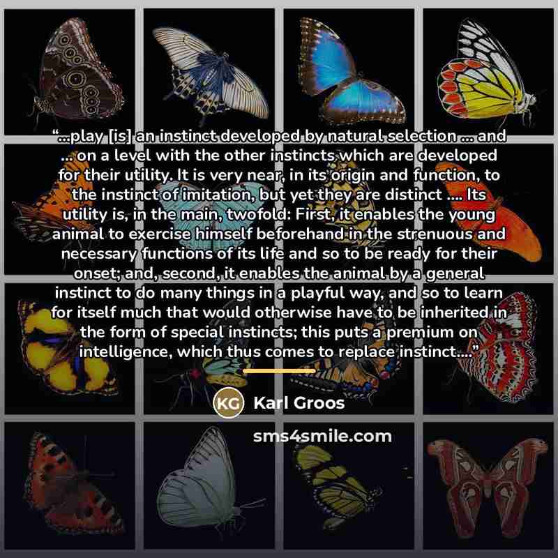 “...play [is] an instinct developed by natural selection ... and ... on a level with the other instincts which are developed for their utility. It is very near, in its origin and function, to the instinct of imitation, but yet they are distinct … Its utility is, in the main, twofold: First, it…” quote by Karl Groos