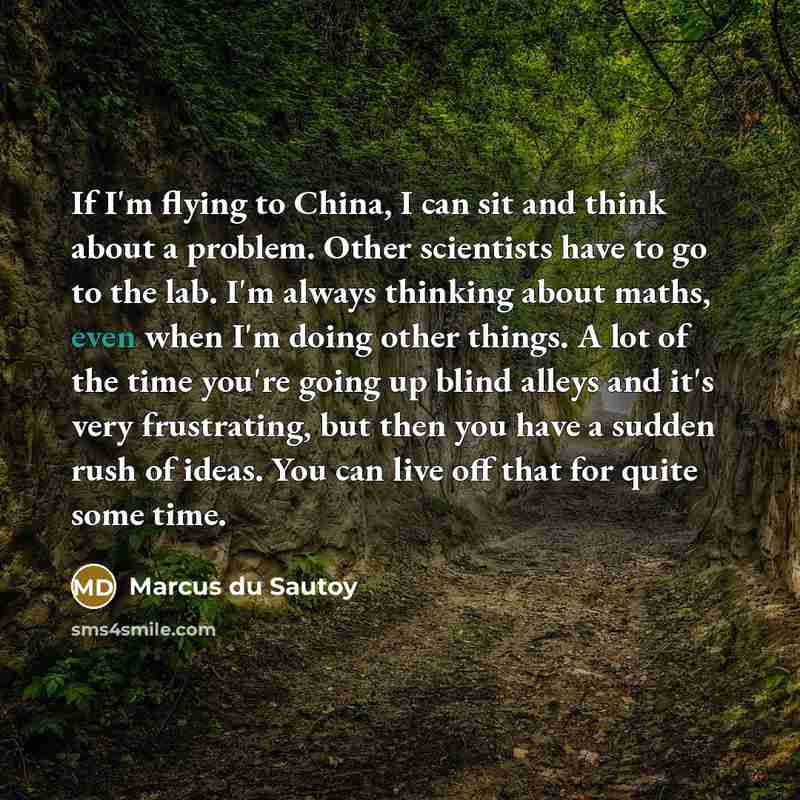 “If I'm flying to China, I can sit and think about a problem. Other scientists have to go to the lab. I'm always thinking about maths, even when I'm doing other things. A lot of the time you're going up blind alleys and it's very frustrating, but then you have a sudden rush of ideas. You can live…” quote by Marcus du Sautoy