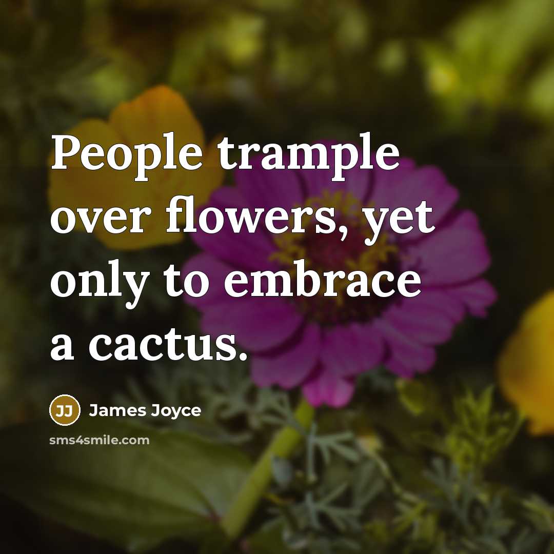 “People trample over flowers, yet only to embrace a cactus.” quote by James Joyce