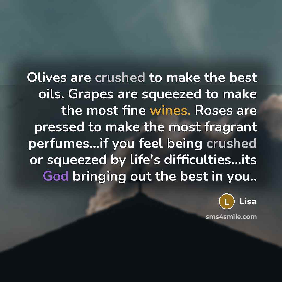 “Olives are crushed to make the best oils. Grapes are squeezed to make the most fine wines. Roses are pressed to make the most fragrant perfumes...if you feel being crushed or squeezed by life's difficulties...its God bringing out the best in you..” quote by Lisa
