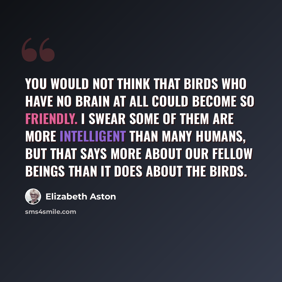 “You would not think that birds who have no brain at all could become so friendly. I swear some of them are more intelligent than many humans, but that says more about our fellow beings than it does about the birds.” quote by Elizabeth Aston
