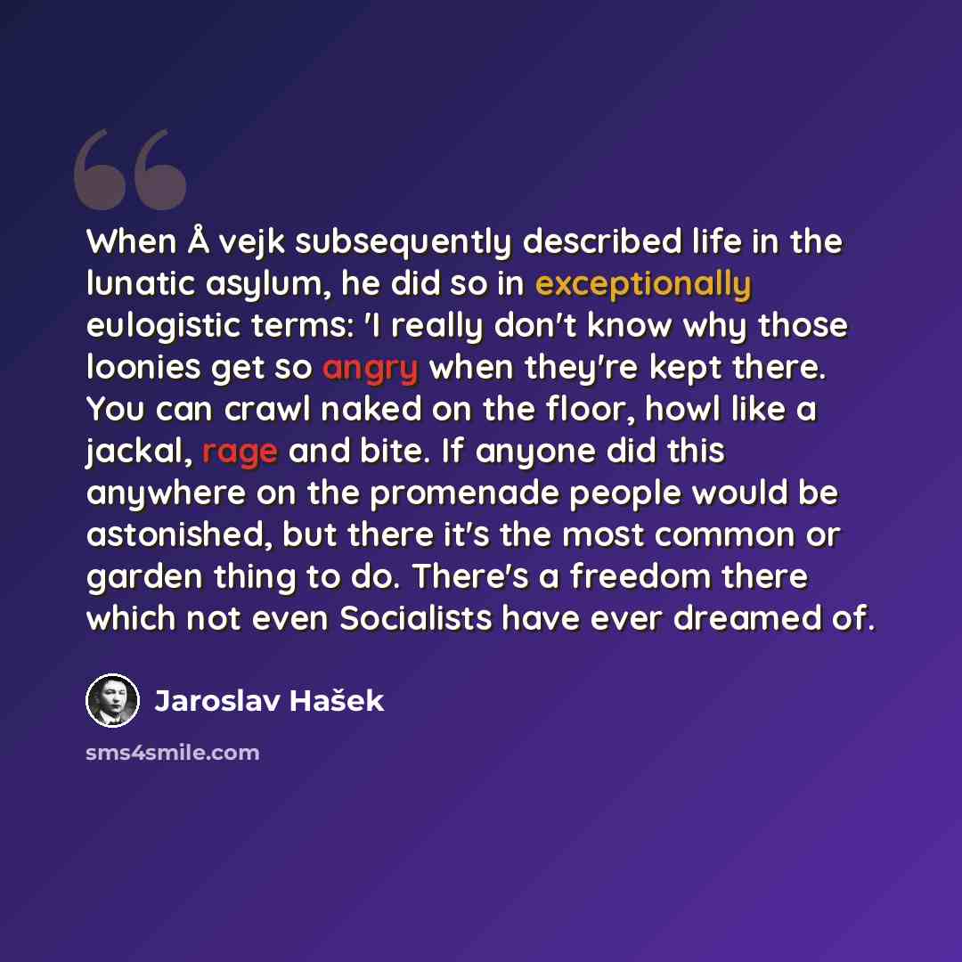 “When Å vejk subsequently described life in the lunatic asylum, he did so in exceptionally eulogistic terms: 'I really don't know why those loonies get so angry when they're kept there. You can crawl naked on the floor, howl like a jackal, rage and bite. If anyone did this anywhere on the promenade…” quote by Jaroslav Hašek