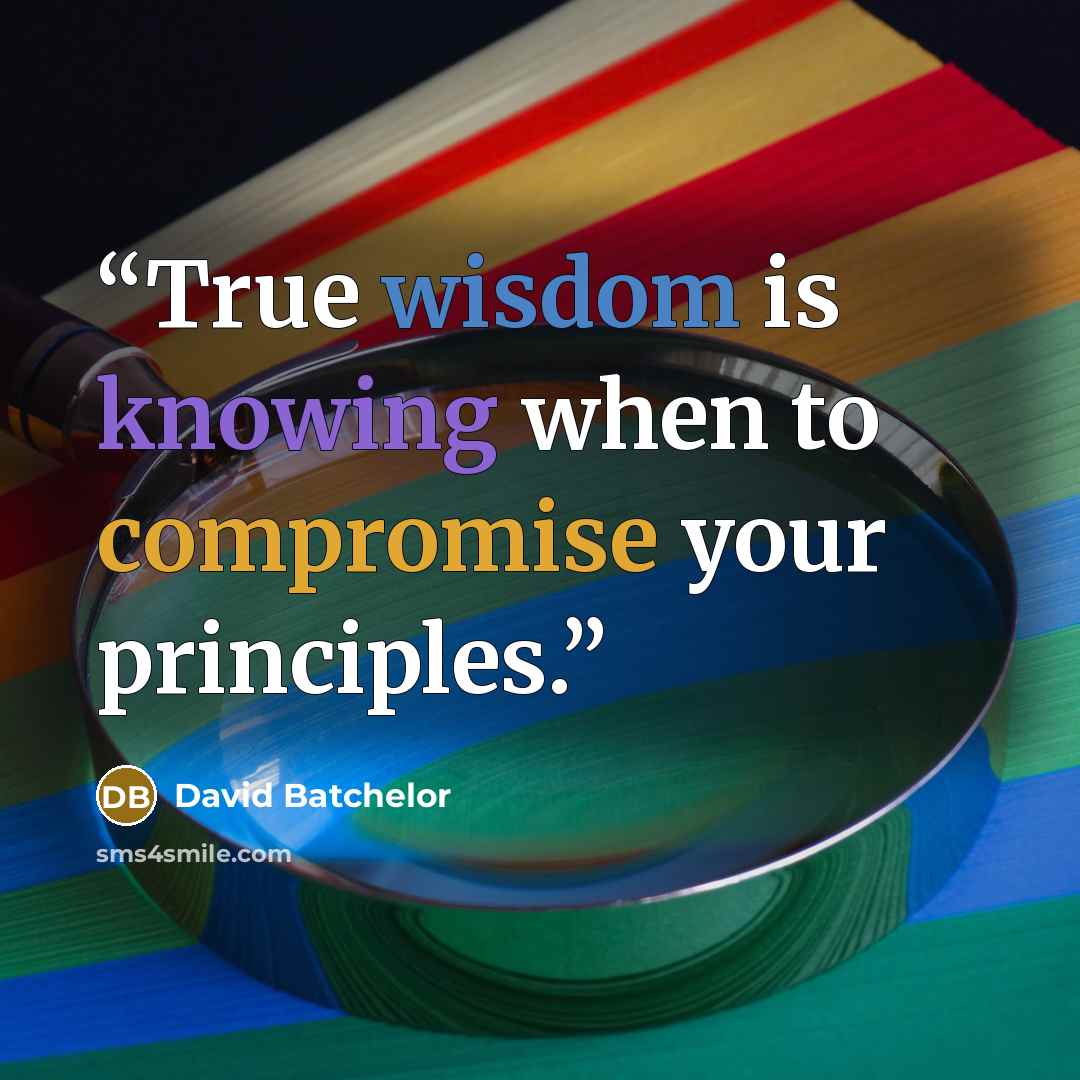 “True wisdom is knowing when to compromise your principles.” quote by David Batchelor