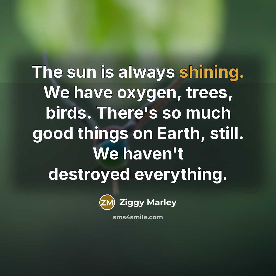 “The sun is always shining. We have oxygen, trees, birds. There's so much good things on Earth, still. We haven't destroyed everything.” quote by Ziggy Marley