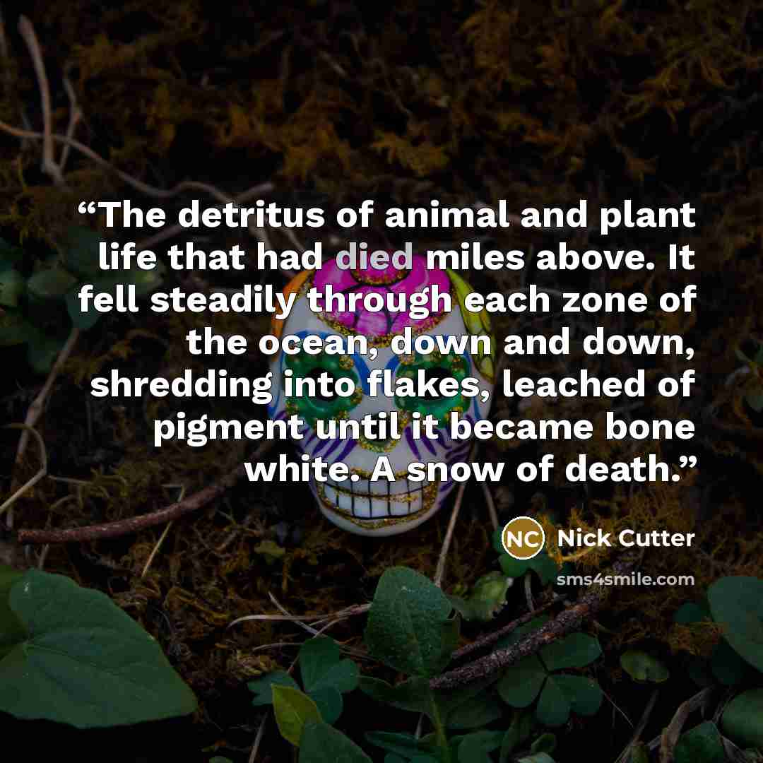 “The detritus of animal and plant life that had died miles above. It fell steadily through each zone of the ocean, down and down, shredding into flakes, leached of pigment until it became bone white. A snow of death.” quote by Nick Cutter