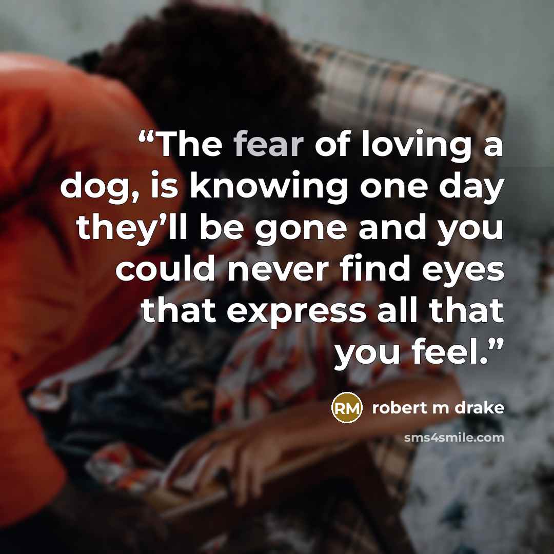 “The fear of loving a dog, is knowing one day they’ll be gone and you could never find eyes that express all that you feel.” quote by robert m drake
