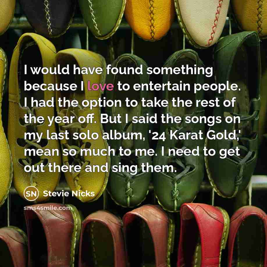 “I would have found something because I love to entertain people. I had the option to take the rest of the year off. But I said the songs on my last solo album, '24 Karat Gold,' mean so much to me. I need to get out there and sing them.” quote by Stevie Nicks