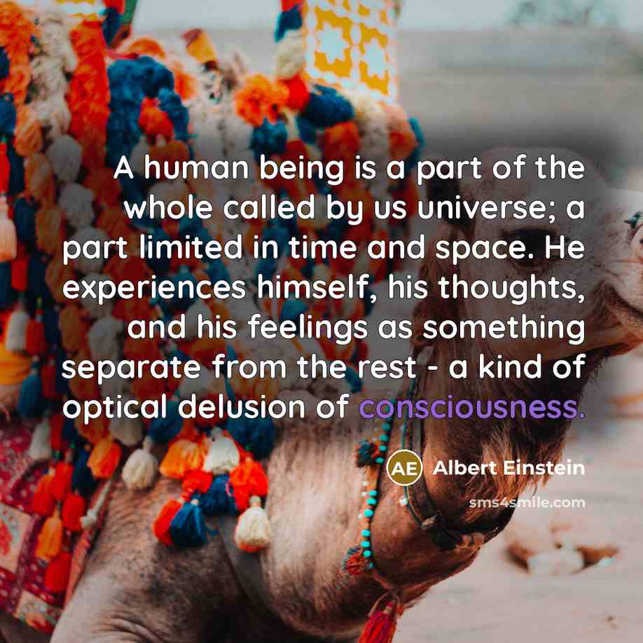 “A human being is a part of the whole called by us universe; a part limited in time and space. He experiences himself, his thoughts, and his feelings as something separate from the rest - a kind of optical delusion of consciousness.” quote by Albert Einstein