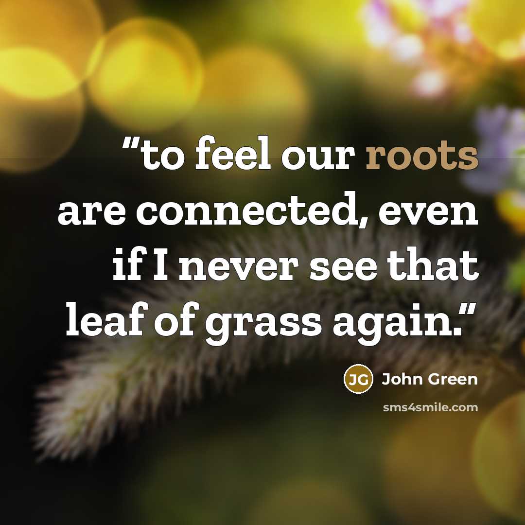 “to feel our roots are connected, even if I never see that leaf of grass again.” quote by John Green