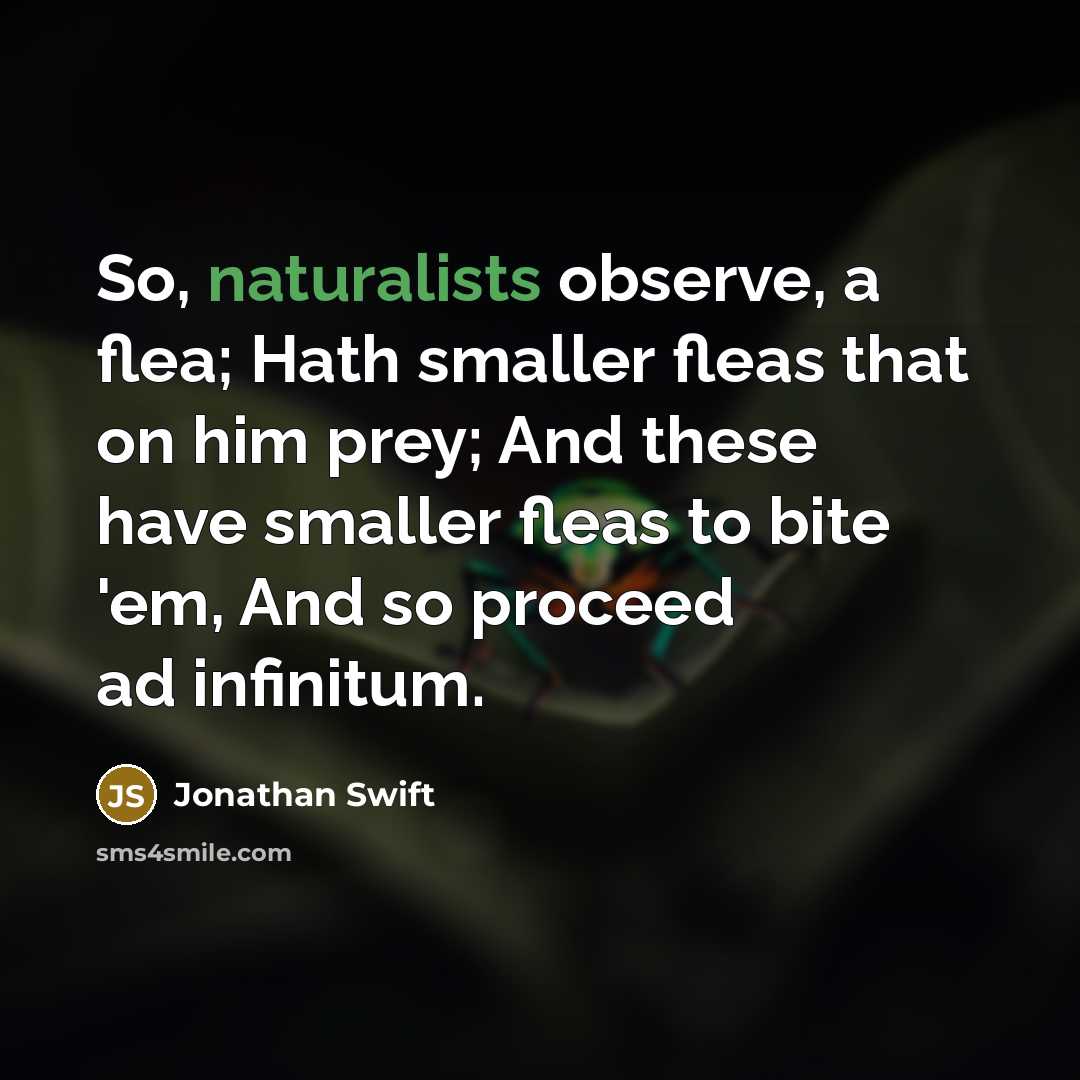 “So, naturalists observe, a flea; Hath smaller fleas that on him prey; And these have smaller fleas to bite 'em, And so proceed ad infinitum.” quote by Jonathan Swift