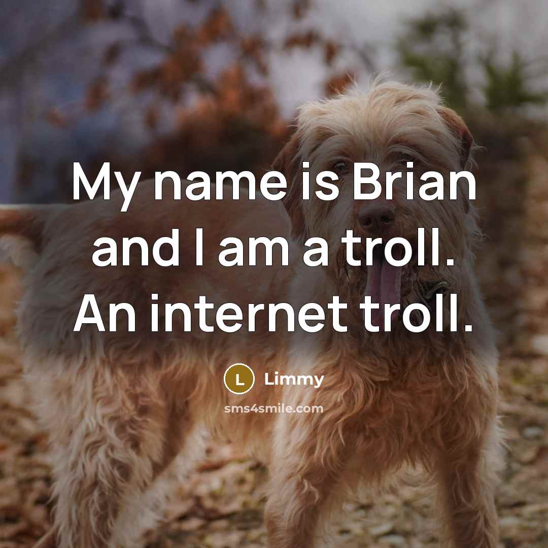 “My name is Brian and I am a troll. An internet troll.” quote by Limmy