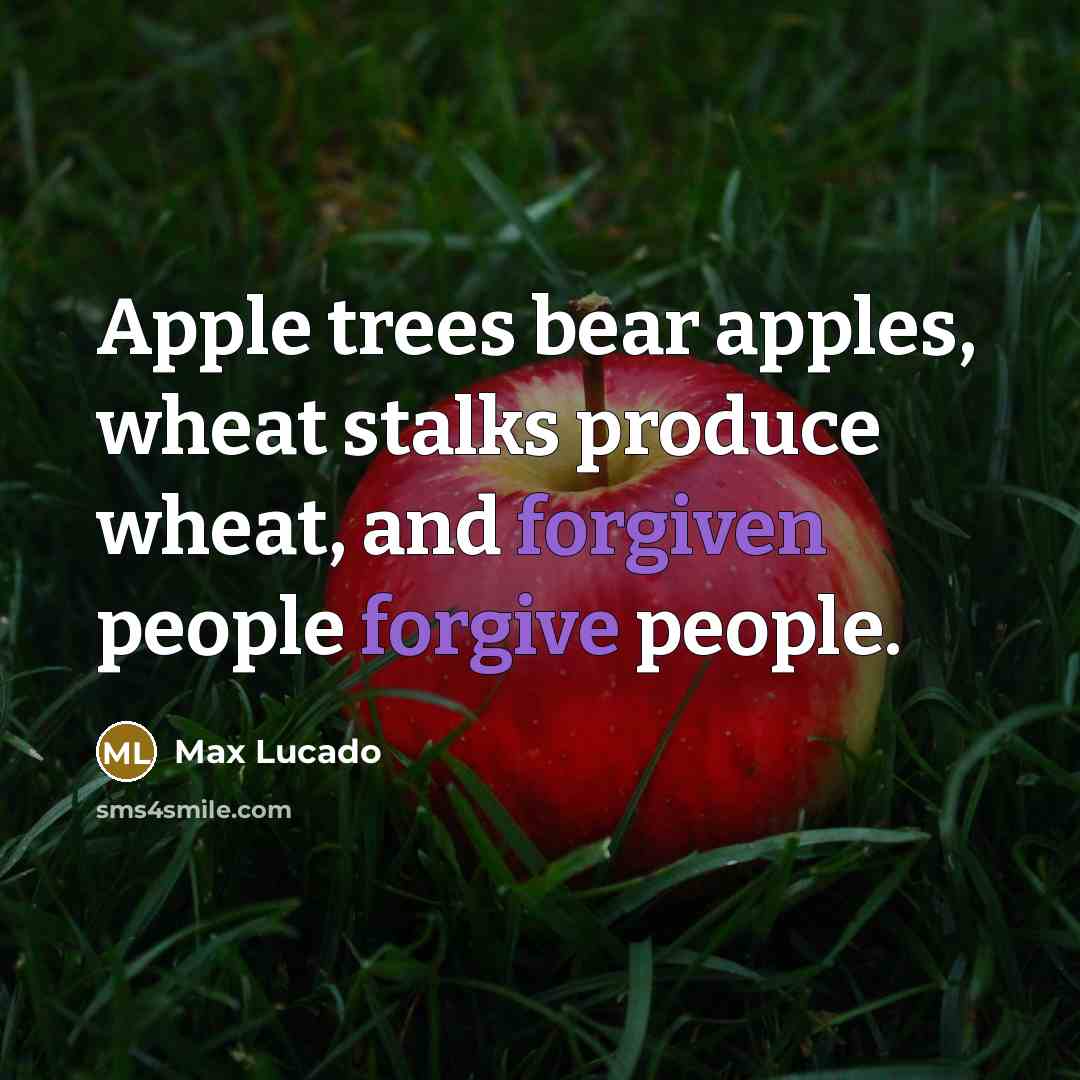 “Apple trees bear apples, wheat stalks produce wheat, and forgiven people forgive people.” quote by Max Lucado