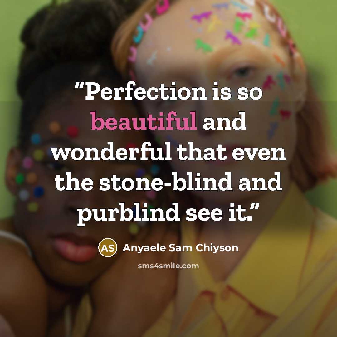 “Perfection is so beautiful and wonderful that even the stone-blind and purblind see it.” quote by Anyaele Sam Chiyson