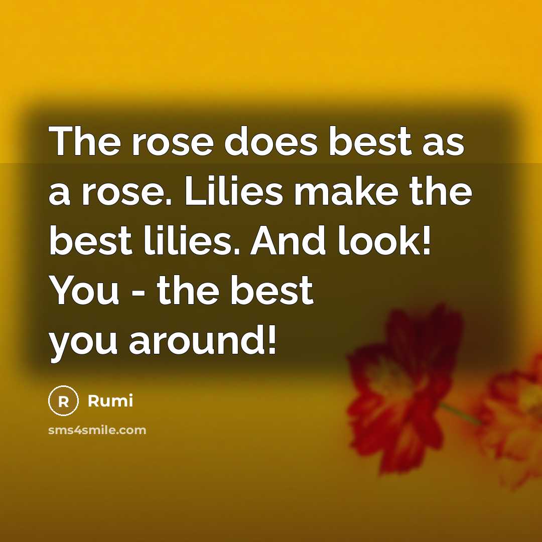 “The rose does best as a rose. Lilies make the best lilies. And look! You - the best you around!” quote by Rumi