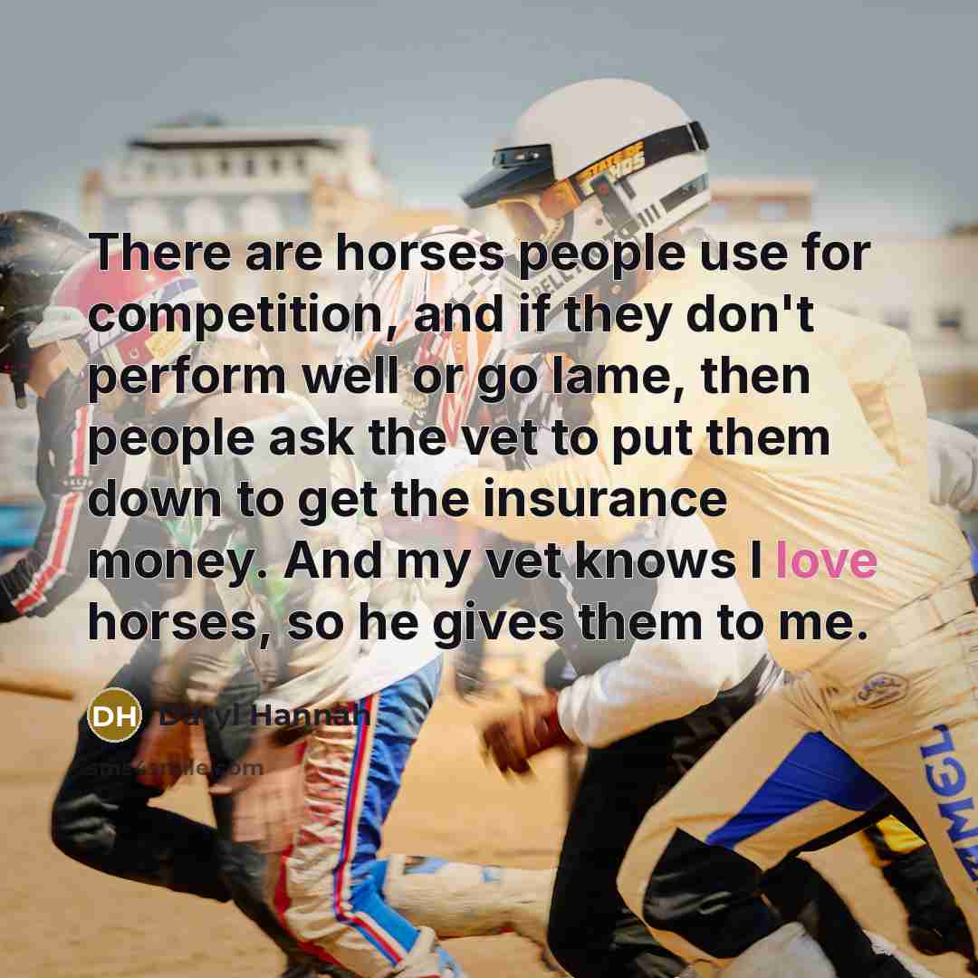 “There are horses people use for competition, and if they don't perform well or go lame, then people ask the vet to put them down to get the insurance money. And my vet knows I love horses, so he gives them to me.” quote by Daryl Hannah