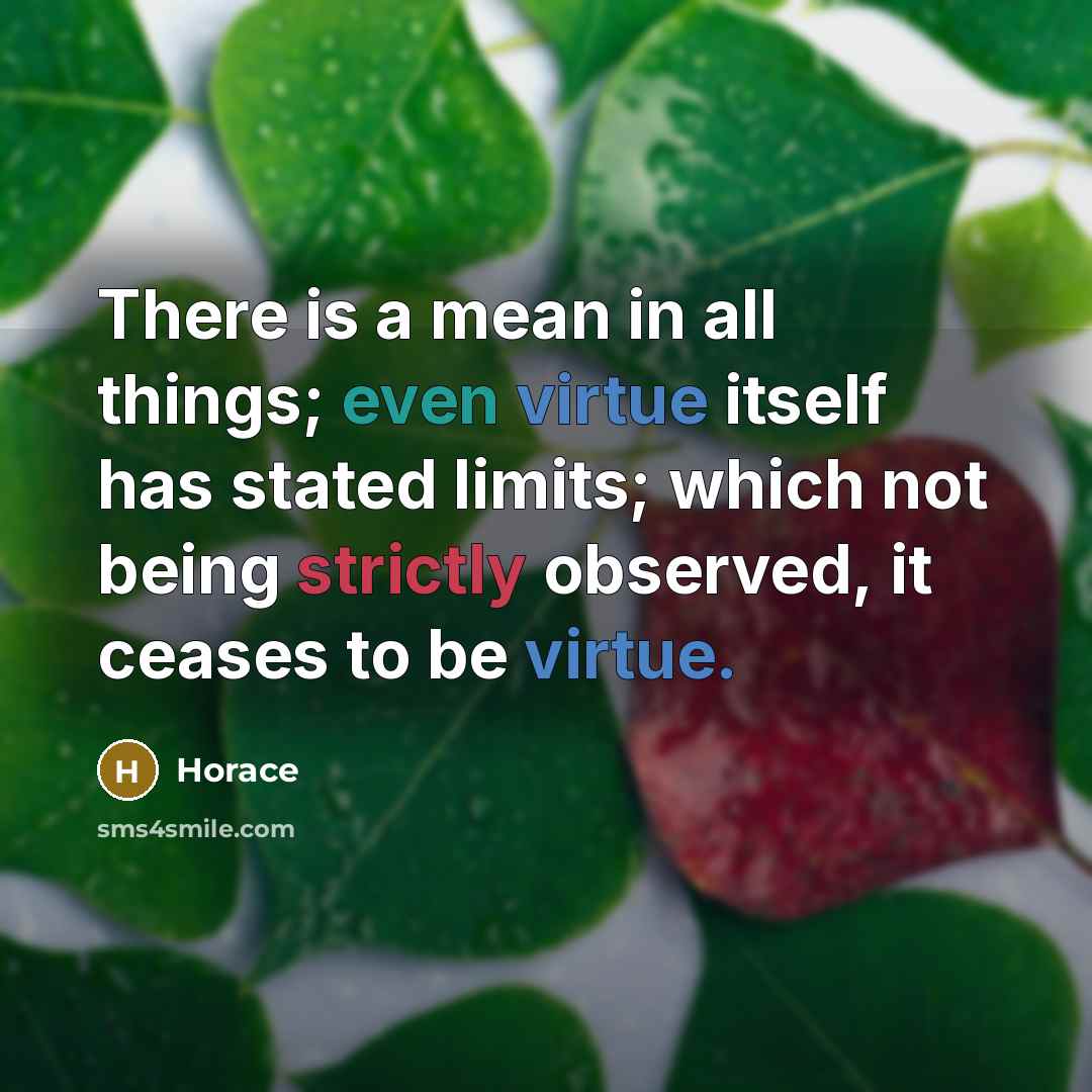 “There is a mean in all things; even virtue itself has stated limits; which not being strictly observed, it ceases to be virtue.” quote by Horace