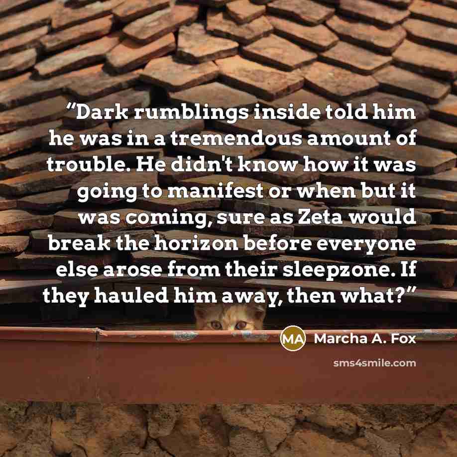 “Dark rumblings inside told him he was in a tremendous amount of trouble. He didn't know how it was going to manifest or when but it was coming, sure as Zeta would break the horizon before everyone else arose from their sleepzone. If they hauled him away, then what?” quote by Marcha A. Fox
