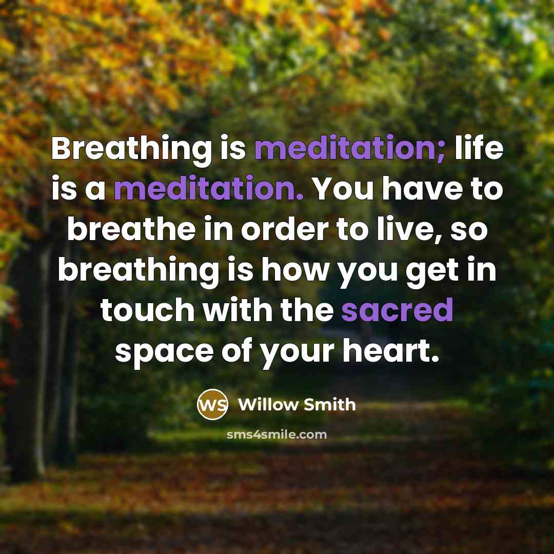 “Breathing is meditation; life is a meditation. You have to breathe in order to live, so breathing is how you get in touch with the sacred space of your heart.” quote by Willow Smith