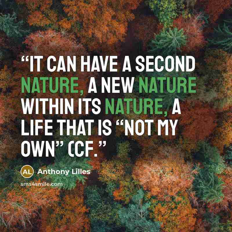 “It can have a second nature, a new nature within its nature, a life that is “not my own” (cf.” quote by Anthony Lilles