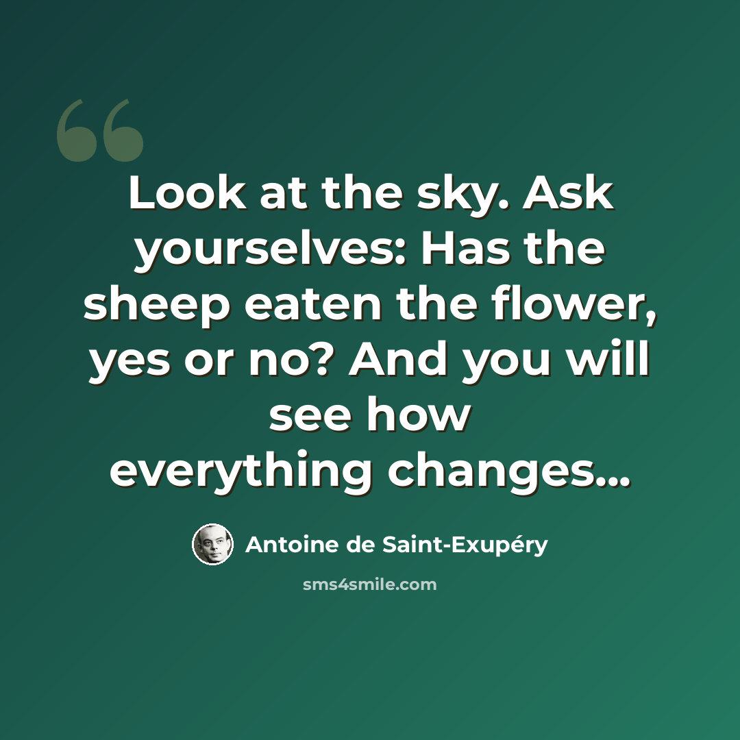 “Look at the sky. Ask yourselves: Has the sheep eaten the flower, yes or no? And you will see how everything changes...” quote by Antoine de Saint-Exupery