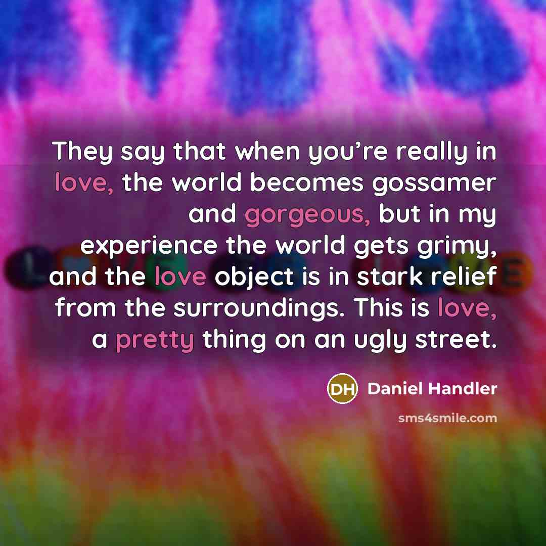 “They say that when you’re really in love, the world becomes gossamer and gorgeous, but in my experience the world gets grimy, and the love object is in stark relief from the surroundings. This is love, a pretty thing on an ugly street.” quote by Daniel Handler
