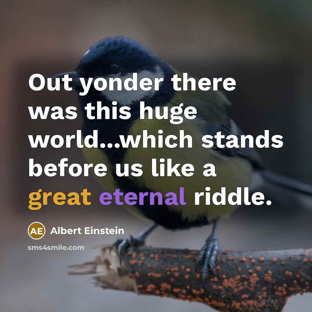 “Out yonder there was this huge world...which stands before us like a great eternal riddle.” quote by Albert Einstein